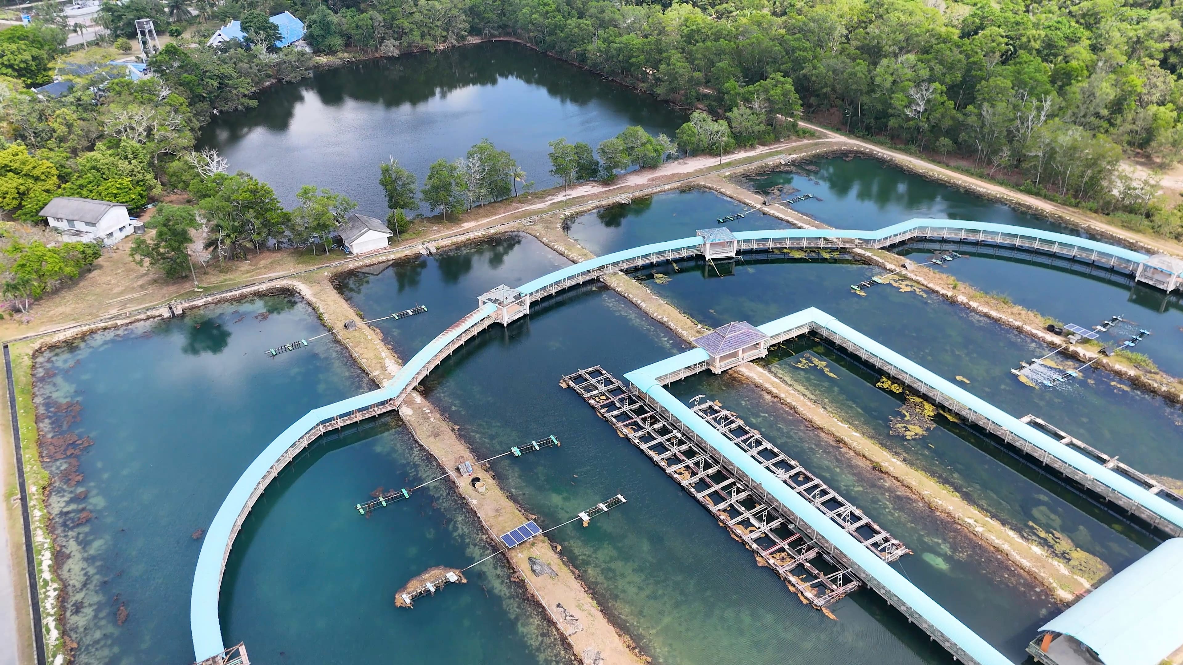 Water & Wastewater Treatment
